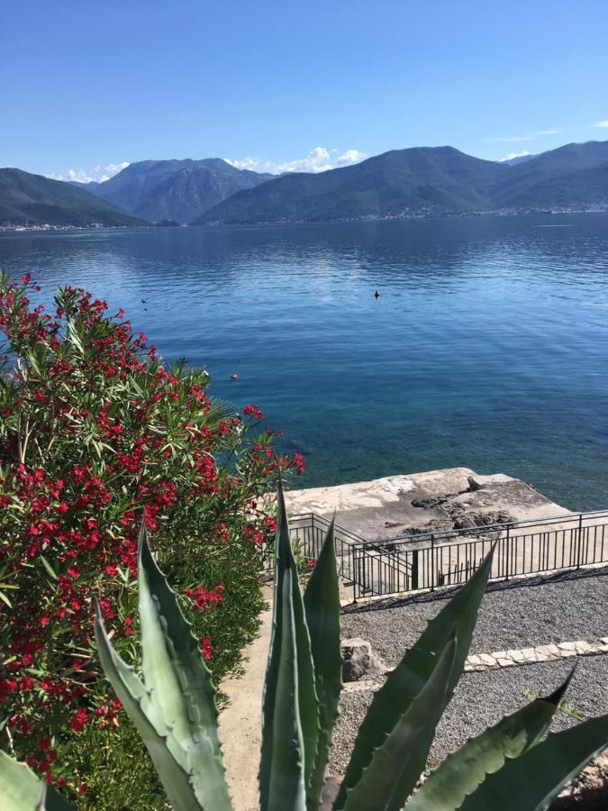 Apartment Tri Kiparisa Tivat Eksteriør billede